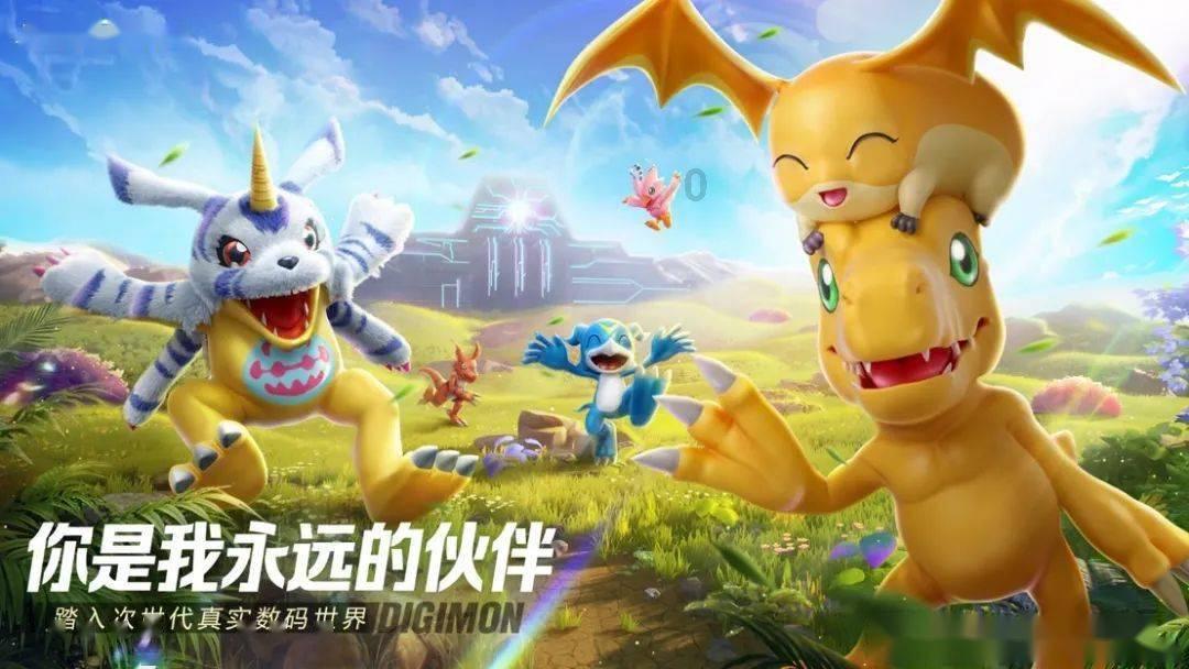 无忧国际wy6999